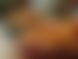 Nutritious Dog Snacks for Every Occasion