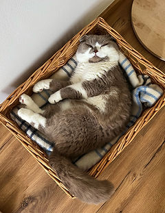 Hugo_foto_03.jpg
