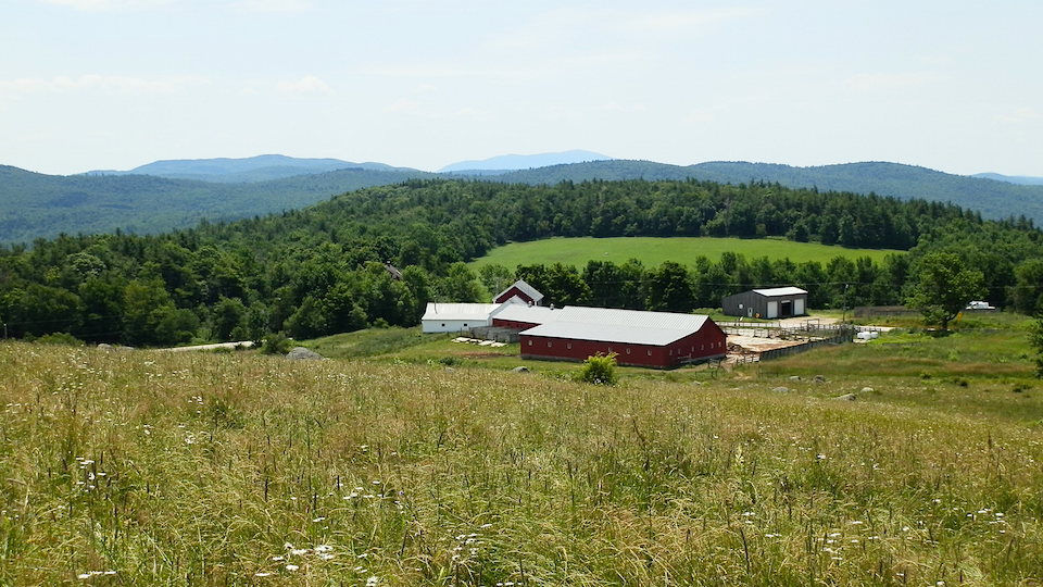 Three NH Farms