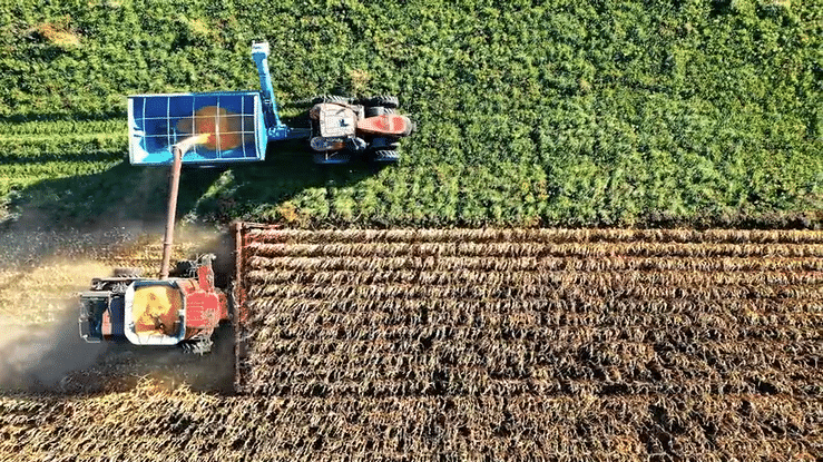Agribusiness | Kennedy Berkley Agribusiness | Kennedy Berkley