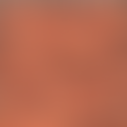 Farmhouse Orange Brick Slips