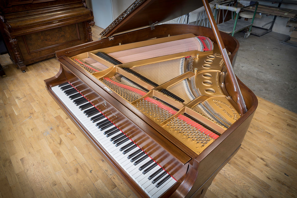 Miniatura: anna-piano-fortepian-steinway-brązowy-04