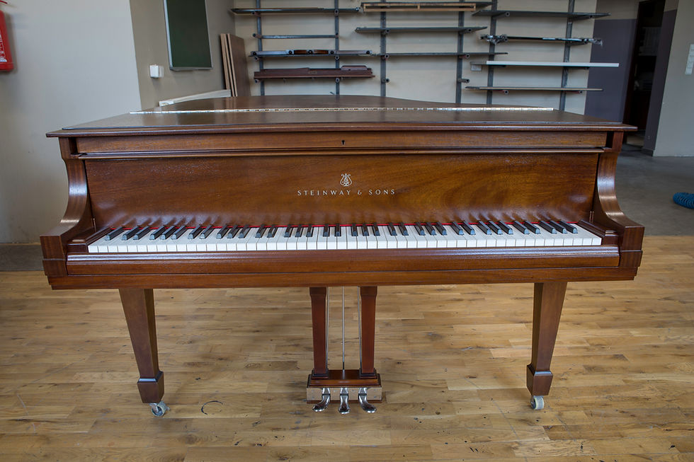 Miniatura: anna-piano-fortepian-steinway-brązowy-03