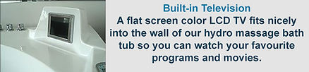 TV built right into the tub.