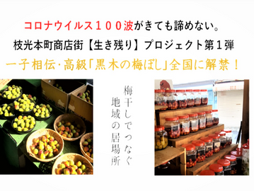 クラウドファンディングの準備を始めました。