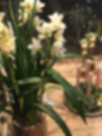 25256091-b157-443d-aff1-72b87f86de33