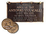 Plague-&-Medallions.png