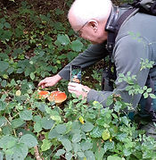 Steve Docker, Eclectic Ecologist