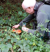 Steve Docker, Eclectic Ecologist