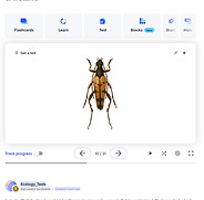 Flashcard, Learning, Online, Quizlet