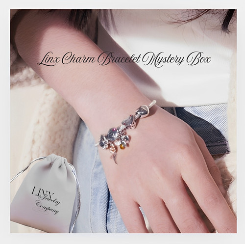 Linx Charm Bracelet Mystery Box with 1 Bracelet and 5 Charms