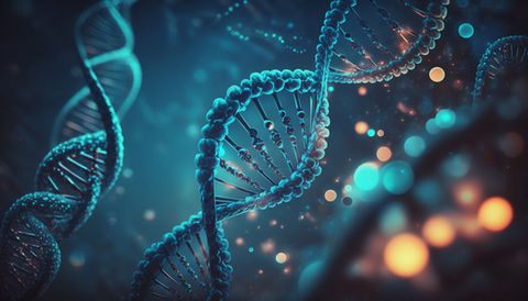 PROTEINS & PEPTIDES