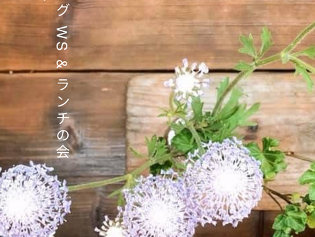 11/8 ダーニングWS&ランチの会