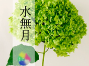 6月のスケジュール**