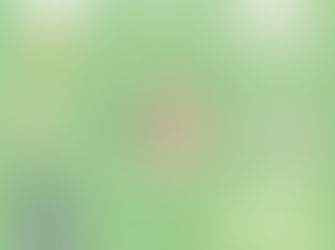 5/31 暮らしのヨガマルシェ