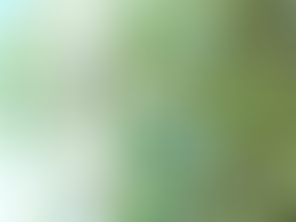 5月のスケジュール**