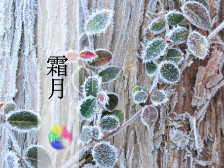 11月のスケジュール**