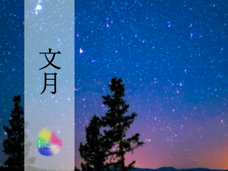 7月のスケジュール＊*