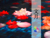 7月のスケジュール＊*