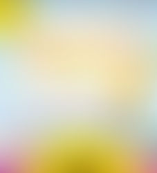 Spring Auction - April 27th through May 1st