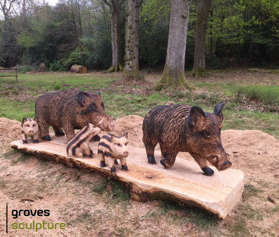 Photograph of wild boar carving insitu.