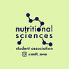 NSSA Logo w_ Instagram.png
