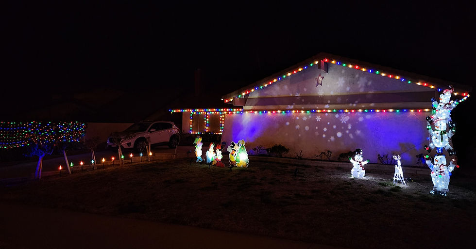 Yard of the Month, Christmas Edition!