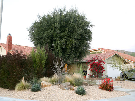 March Yard of the Month