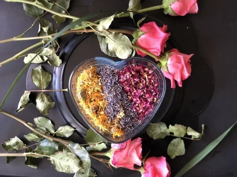 Heart-shaped bowl filled with herbal yoni steam blend, framed by fresh roses at the top and bottom for a sensual, sacred disp