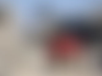 Israel bans Red Cross visits to detained Palestinian combatants