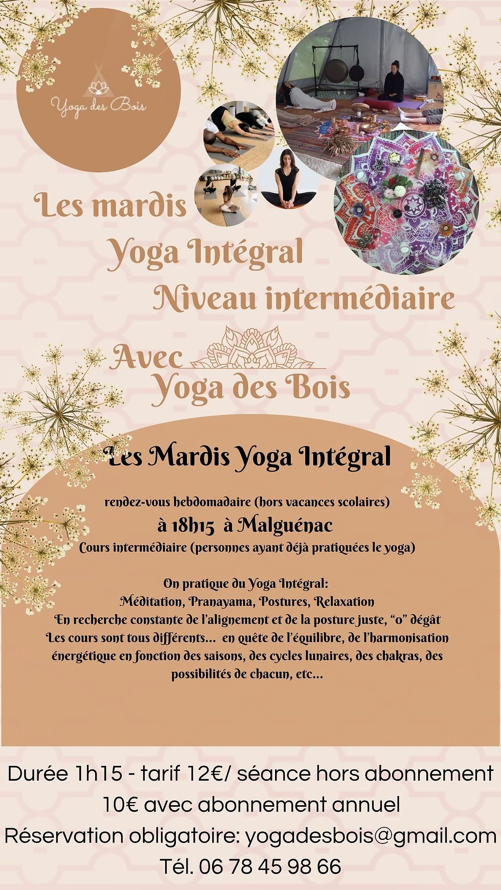  Cours hebdomadaire Yoga Intégral Mardi 18h15