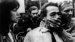 Guilherme Purvin comenta artigo de Ricardo Camargo na PUB