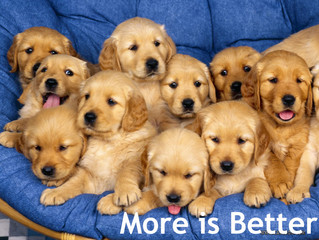 More Is Better