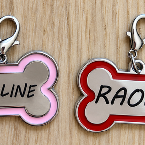 Médailles pour chiens en forme d’os personnalisées avec les prénoms Apolline et Raoul.
