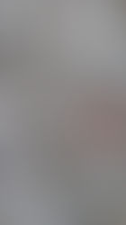 The Saturday Journal: a Saturday morning