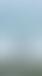 The Saturday Journal: Thank you, Daddy