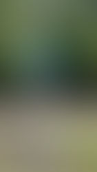 The Saturday Journal: Roads We Travel (part two)