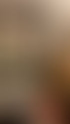 The Saturday Journal: Home