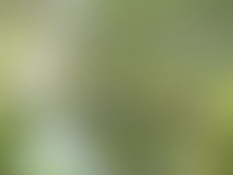 The Saturday Journal: Hoodies and Moments that Matter