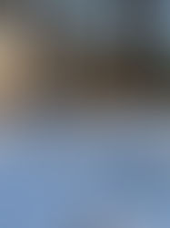 The Saturday Journal: Seven years and a few months shy...