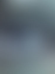 The Saturday Journal: In the Presence of a Memory