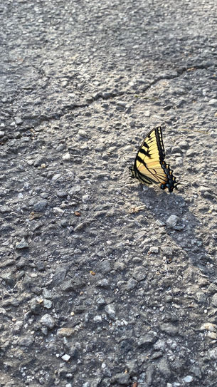 The Saturday Journal: Roads We Travel (part one) 