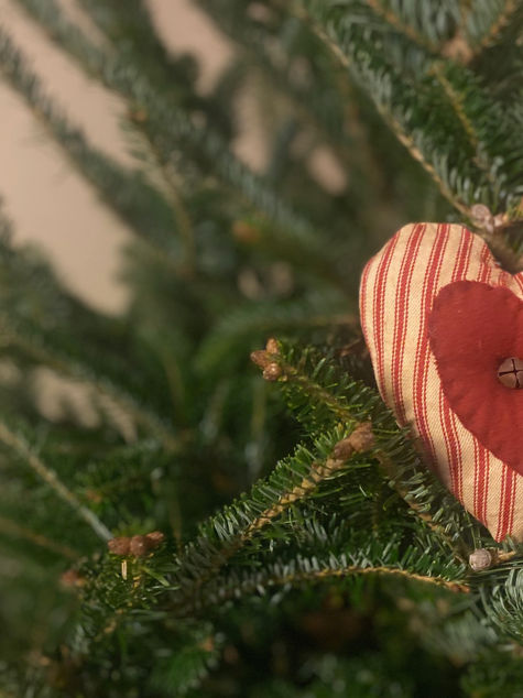 The Saturday Journal: Is this all true? Is it?