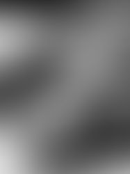 The Saturday Journal: Fatback. A Snake and a Flat of Eggs