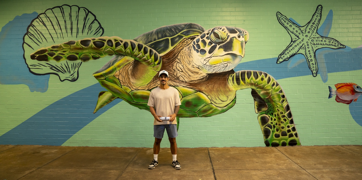 Sea turtle and marine-life mural in the Cordova Mall walkway