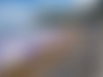 Trabalhadores do turismo no Rio Grande do Norte e a COVID-19: uma crise sanitária e social