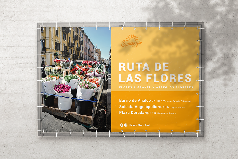 sundays-inta_Mesa de trabajo 1.png