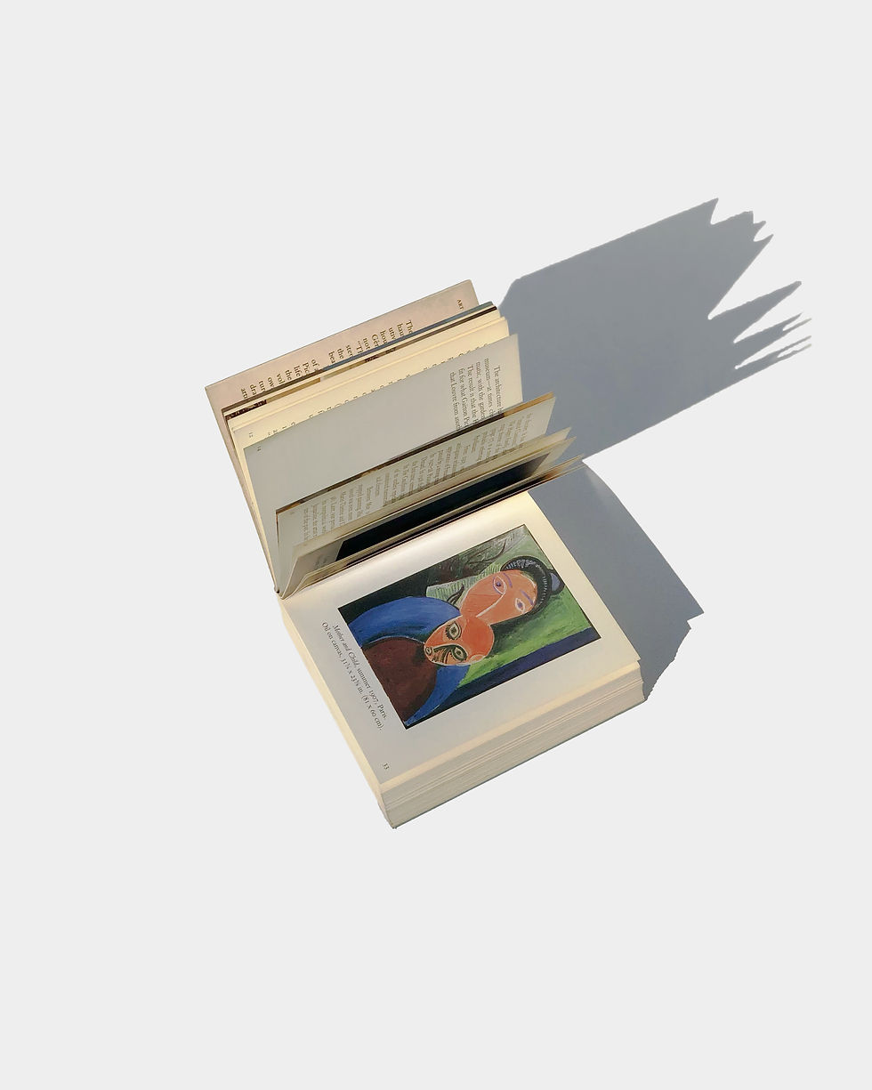 Thumbnail: Treasures of the Musée Picasso, Paris 1994