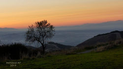 Al Zawiya Trail 2015