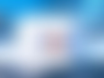 Insulated bio-thermal shipping box with BioMed Spedition (BMS) logo used for 2–8 °C biological sample cold-chain logistics.